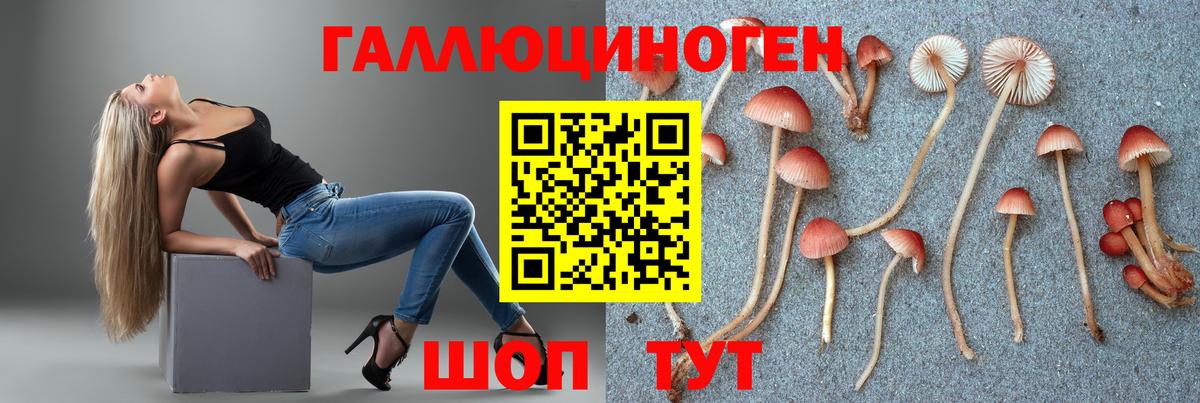 Джанкой  Псилоцибиновые грибы GOLDEN TEACHER  Вход с VPN 